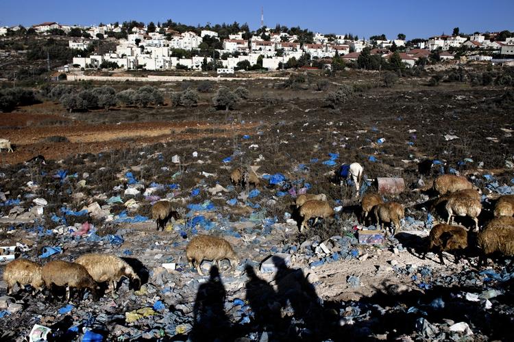 Bosættelser. Flere store virksomheder er begyndt at boykotte forbindelser til Israel for at svække den israelske besættelse. 