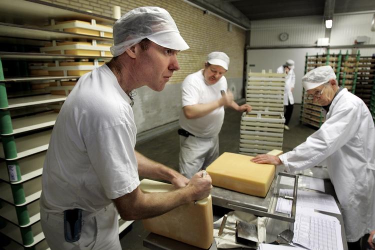 EKSPORT. Arla vi investere en milliard i danske mejerier, der producerer varer til eksport uden for EU. (arkivfoto) 