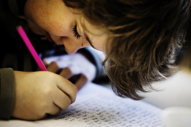 Lektier. I en rundspørge udført af Kristeligt Dagblad, hvor 454 skoleledere har svaret på spørgsmålet om lektier, svarer hver fjerde skoleleder, at skolen i enkelte eller alle klasser har valgt at integrere lektier i undervisningen. - Foto: 