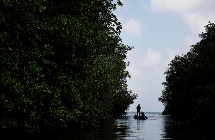 Lowtech. Gunaerne i det nordlige Panama må i vidt omfang nøjes med at overvåge deres skovområder i kano og til fods. 