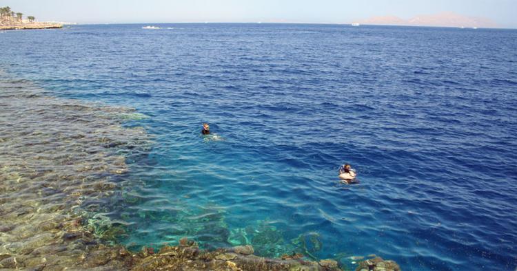 SNORKELTUR. Langt det meste af Ras Muhammad  nationalparken på Sinaihalvøen  befinder sig under vandet. 