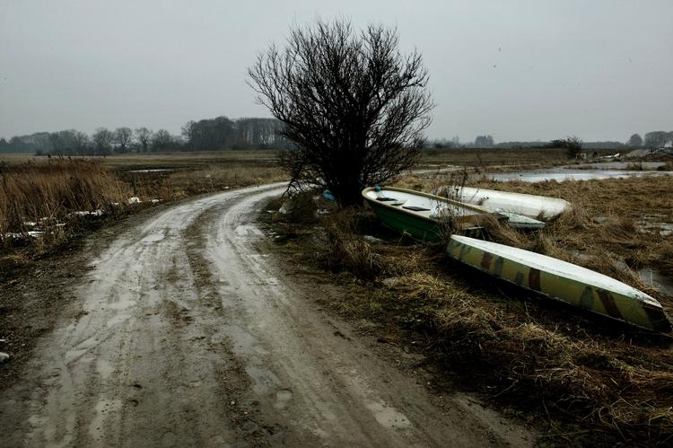 Vinter. Weekendvejret bliver vådt og gråt, og temperaturen kommer ikke under nul grader, forudser DMI. - Foto: 