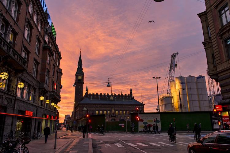 Vagthund. Politikerne på Københavns Rådhus skal i foråret lægge sig fast på, hvordan kommunens interne revision skal være organiseret fremover. 