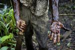 Natur. Boringer efter olie i den congolesiske nationalpark Virunga kan ødelægge områdets økosystem med forurening, lyder det fra Verdensnaturfonden (WWF). 