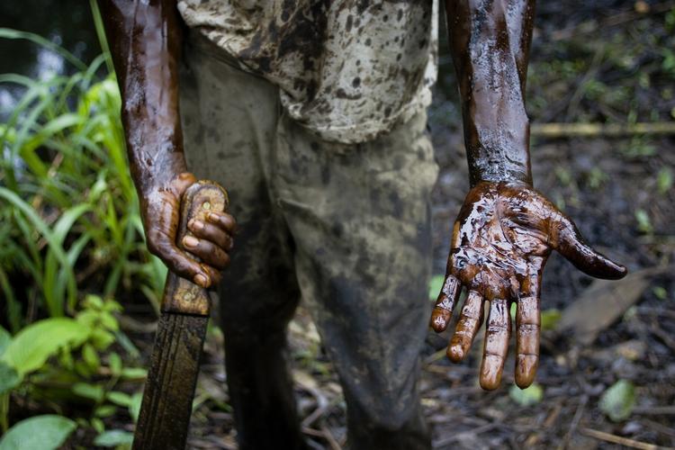 Natur. Boringer efter olie i den congolesiske nationalpark Virunga kan ødelægge områdets økosystem med forurening, lyder det fra Verdensnaturfonden (WWF). 