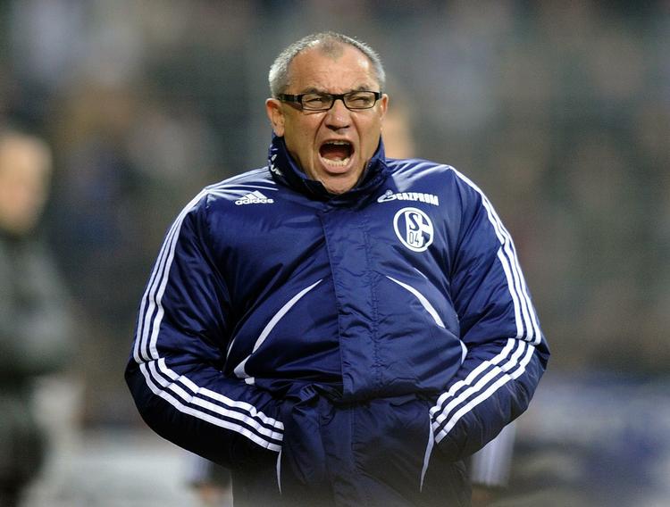 Redningsmand. Felix Magath skal forsøge at sikre Fulham overlevelse i Premier League. 