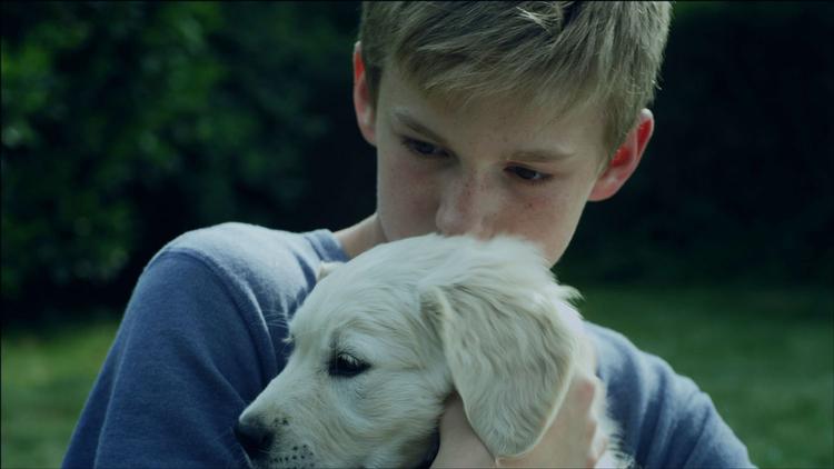 DEBUTANT. Stefan Søe Iwan gør en fin figur i Kristoffer Kiørboes kortfilm 'Søn', som fik hædrende omtale af juryen for ungdomsfilm i Berlin. 