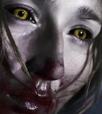 Udyr. Jonas Arnbys 'Når dyrene drømmer', der er del af den nye bølge af nordiske genrefilm, får premiere 31. juli. 