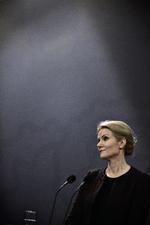 Kritik. Helle Thorning-Schmidt (S) må få hovedet ud af busken i Snowden-sagen, mener Jes Stein Pedersen. 