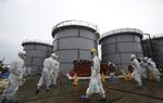 Japan Nuclear