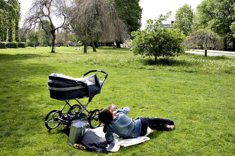 Evolution. Det er ikke længere nødvendigt for kvinder, at finde en potentiel partner som vil hjælpe med at opfostre børn. Det leder til langt flere solomødre med donorbørn. 