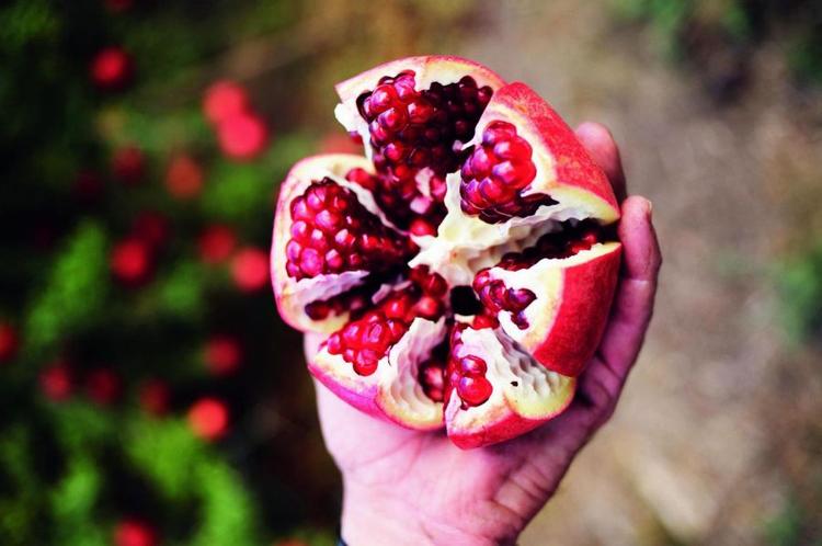 Sammensat. Det nye moderne israelske køkken er inspireret af resten af verden. Mange israelske kokke er taget til udlandet for at lære, for så at vende tilbage med ny inspiration. 
