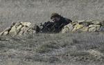 udkig. En pro-russisk soldat har her blokeret en ukrainsk militærbase i landsbyen Novoozerne omkring 90 kilometer vest for hovedbyen Simferopol på Krim-halvøen. Billedet er fra i dag. 