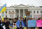 SANKTIONER. Russiske politikere forbereder love, der skal gengælde sanktioner fra Vesten. Her demonstrerer aktivister i Washington mod den russiske fremfærd i Ukraine. 