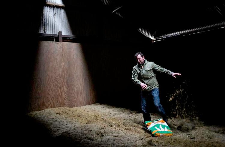 Frø. Egedesgård har 470 hektar. Lars Korsholm Hansen satser på at have mest muligt frø, og det vil i praksis sige næsten halvdelen af arealet. 