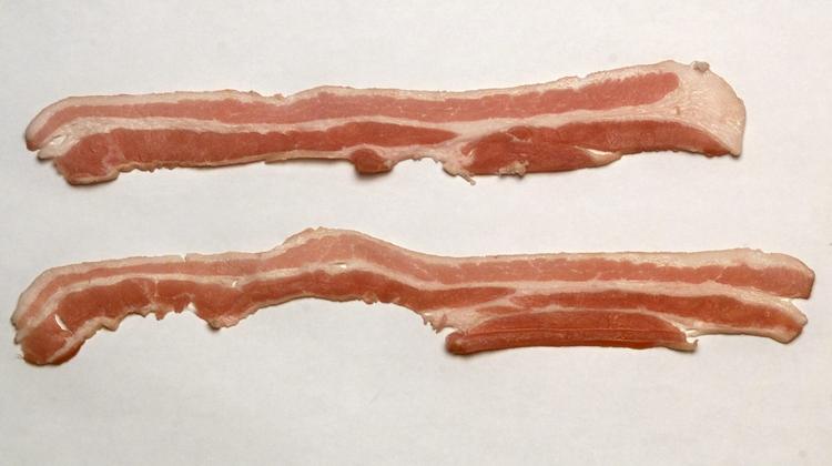 Sanktioner. Krim-krisen fører til billigere bacon og flæsk. 