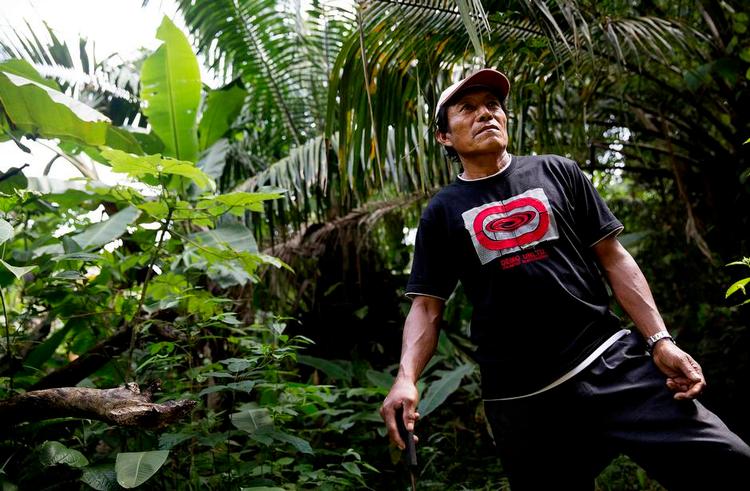 Territorium.Hannibal Sanchez er en af mange gunaer, der følte, at folkene fra FN’s klimaprogram REDD var arrogante, da de kom for at fortælle hans folk, hvordan de skulle bevare deres skov. 