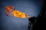 Fossilt. Dong Energy's kommende bestyrelsesformand har erfaringer fra en række olie- og gasvirksomheder, imens det er mere småt med den vedvarende energi