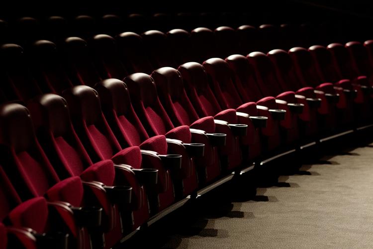 Publikum. Filmelskere flytter i stigende grad fra biografsæderne til den bærbare, men streaming af film kan ikke sikre branchen, mener filmfolk. 