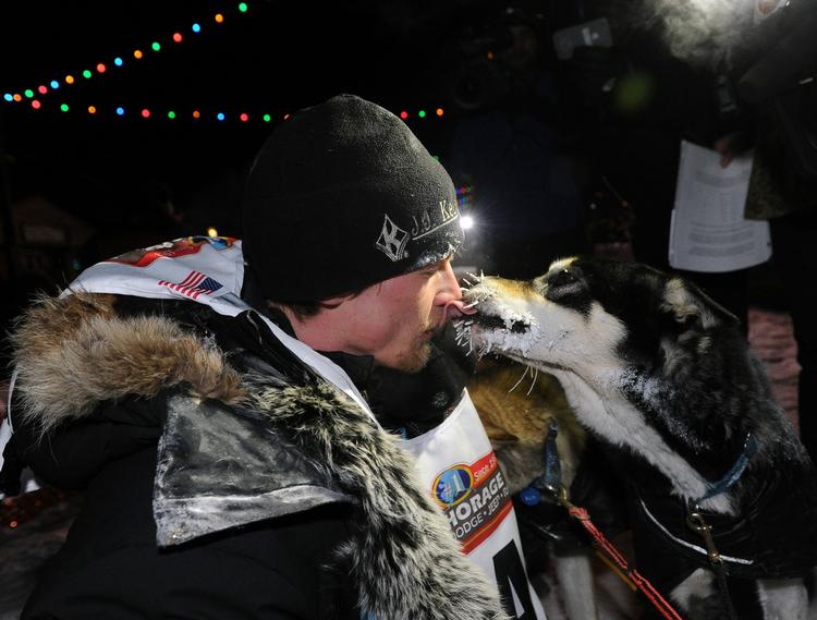 Vinderkys: Dallas Seavey får et kys fra en af sine hunde efter sejren i Iditarod Trail Sled Dog Race. 