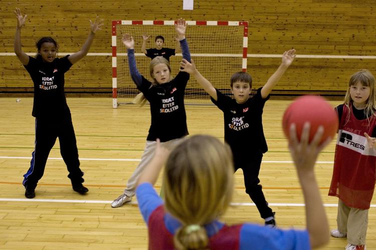 Boldglæde. Håndbold er stadig populært i Jylland, mens det er ganske få, der dyrker sporten i Hovedstaden. (arkivfoto) 