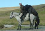 Portræt: Af forholdet mellem mænd og heste i debutfilmen 'Of Horses and Men' 