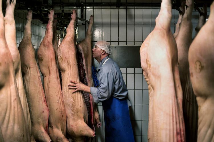 kødligt. Svinekød topper listen over, hvad danske virksomheder sælger til russerne. 