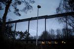Fokus. Udviklingen i antallet af behandlingsdomme skal undersøges, kræver organisationer og politikere. Europarådet kritiserer nu stigningen i antal domme. 