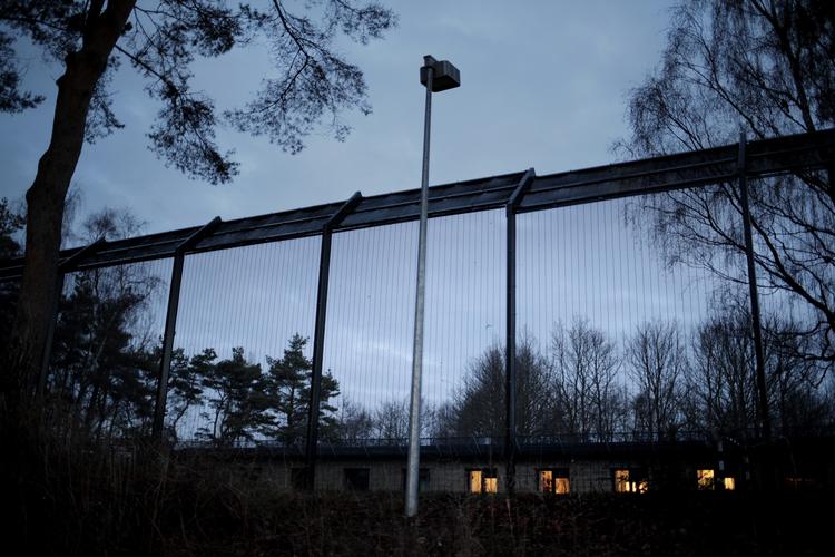 Fokus. Udviklingen i antallet af behandlingsdomme skal undersøges, kræver organisationer og politikere. Europarådet kritiserer nu stigningen i antal domme. 