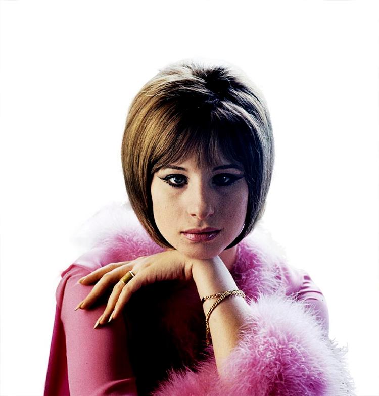 SAGSANLÆG. Barbra Streisand blev sur, da hendes Malibu-residens blev lagt på nettet. Men hendes sagsanlæg gav bagslag. Og hun tabte sagen. 