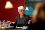 Kritik. Annette Vilhelmsen var i samråd om Zornig-sagen, men det fik ikke kritikken til at lægge sig. 