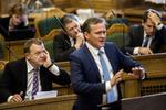Haps. Liberal Alliance skal sige farvel til pressechef Niel Thulesen Dahl, som er blevet snuppet af Venstre. 