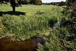 Pløjer. En politisk aftale gør det muligt for landmændene at pløje tættere på følsom natur. 
