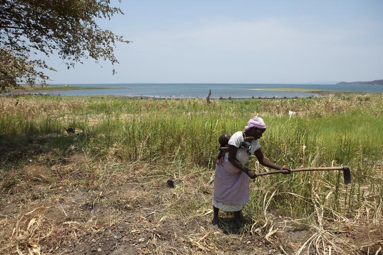 ressourcer. Selvom fødevareproduktionen vokser og vokser, er der stadig folk i verden der sulter. Det behandler vi bl.a. i vores nye tillæg Ressourcer. 