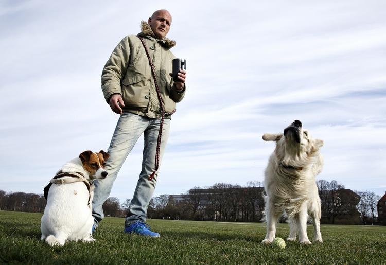 Gogge. Glenn Hansen er i Fælledparken med egen hund og Sofus, en golden retriever han passer for en ven. 