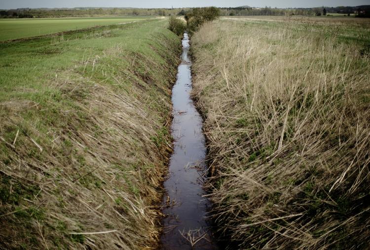 Natur. Danmark har tusindvis af kilometer vandløb. Her er vi ved Åmosen i Vestsjælland. 