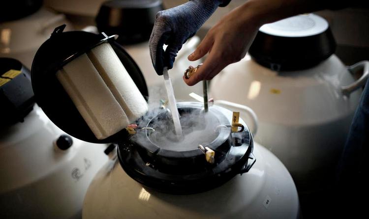 OMDISKUTERET. Den europæiske bioetik-konvention forbyder handel med æg. Men EU-medlemslande må gerne kompensere donorer, og i Danmark får kvinder 500 kr. for en ægdonation. 