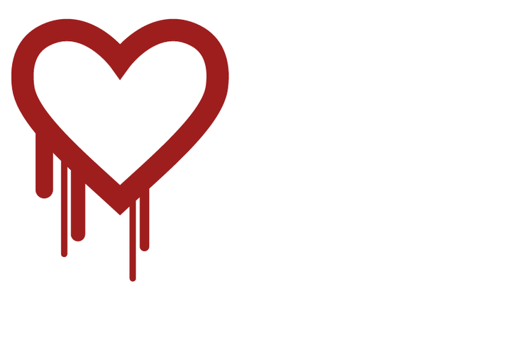 Bristet. 'Heartbleed' eller hjerteblødning på dansk er navnet på en alvorlig sikkerhedsbrist, som udenlandske eksperter identificerede tirsdag. 
