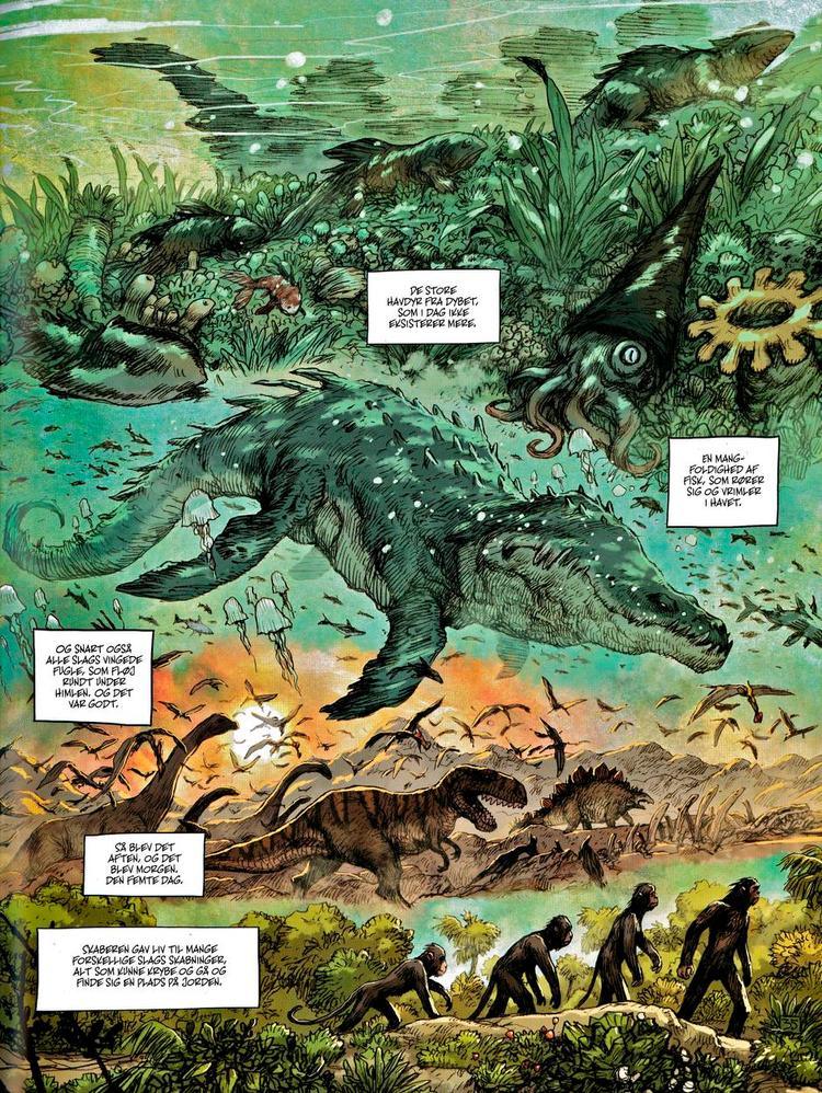 skabelsen. I flotte helsides 'anskuelsestavler' udfordres Guds hånd af fænomener som dna-strenge og her evolutionens geled af aber under udvikling. Tegning fra bogen 