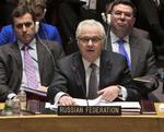 Diplomati. Den russiske FN-ambassadør Vitaly Churkin kan forvente at komme i massivt mindretal under nattens debat om Ukraine. 