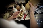 Øko. Hotdog fra Den Økologiske Pølsemand. 