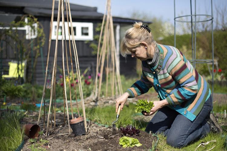 Beskyttelse. En solhat kan være en god ide, hvis du ligger og graver i længere tid i påsken.  (arkivfoto) 