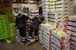 Detektiver. Katrine Christensen og Søren Kristensen fra Fødevarestyrelsens rejsehold leder efter skjulte spor, når de går frugt og grønt på Grønttorvet i Valby efter i sømmene. 