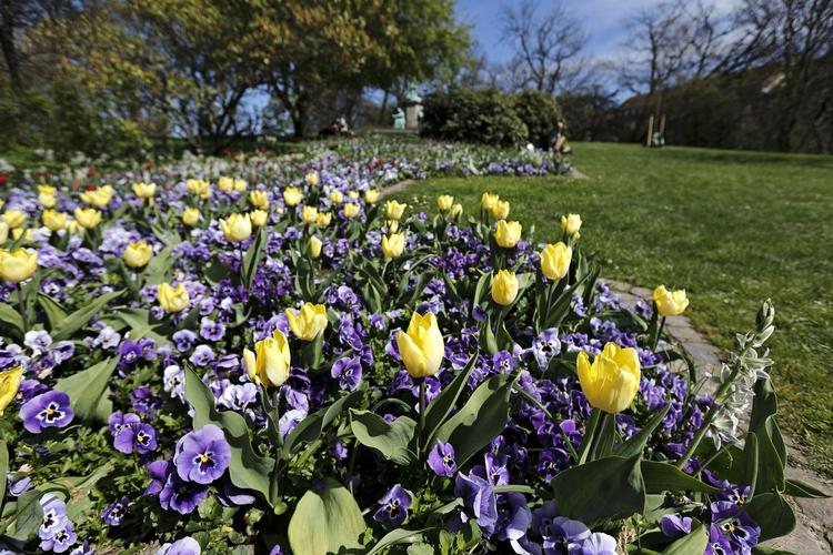 Solskin. Forårvejr i H. C. Ørstedsparken i København i går. Der er gode muligheder for sol i påsken. 