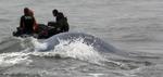 South Korea Ship Sinking