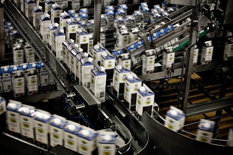 Mælk. EU skønner, at dansk mælkeproduktion de kommende år vil stige 12,5 procent, men det »er lavt sat«, mener mælkeproducenternes formand. 