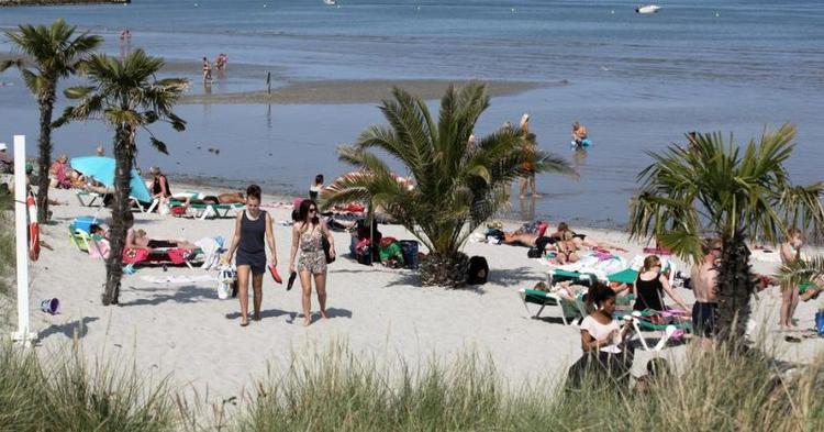 Tropisk. I alt 100 hør- og daddelpalmer pryder stranden, der er noget mere eksotisk at se på, end andre kyststrækninger i Danmark. 