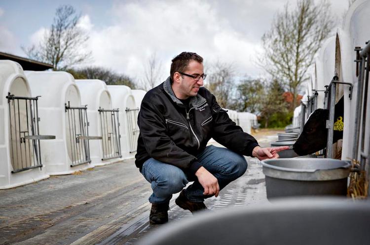 udeboende. Jørn Kjær Madsen med en kviekalv på tre uger. I plastboksen har den de første uger sin egen lejlighed. 