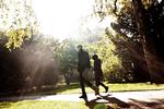 Kirkegård. Skal en del af Assistens Kirkegård omlægges til park, eller skal den fredes? 