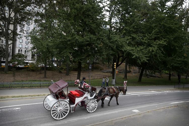 IKONISK. Hestevognene i Central park er et af New Yorks mest yndede motiver. 